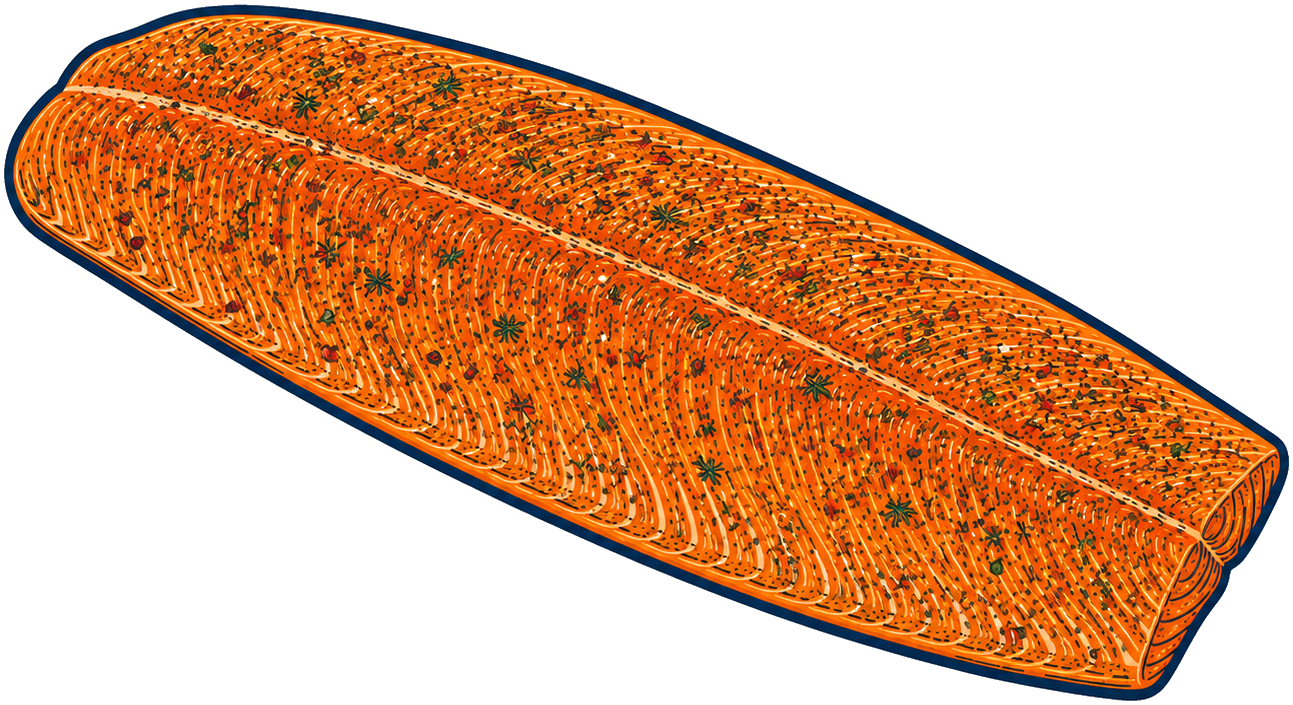 Tekening van een hele gerookte zalm met kruiden