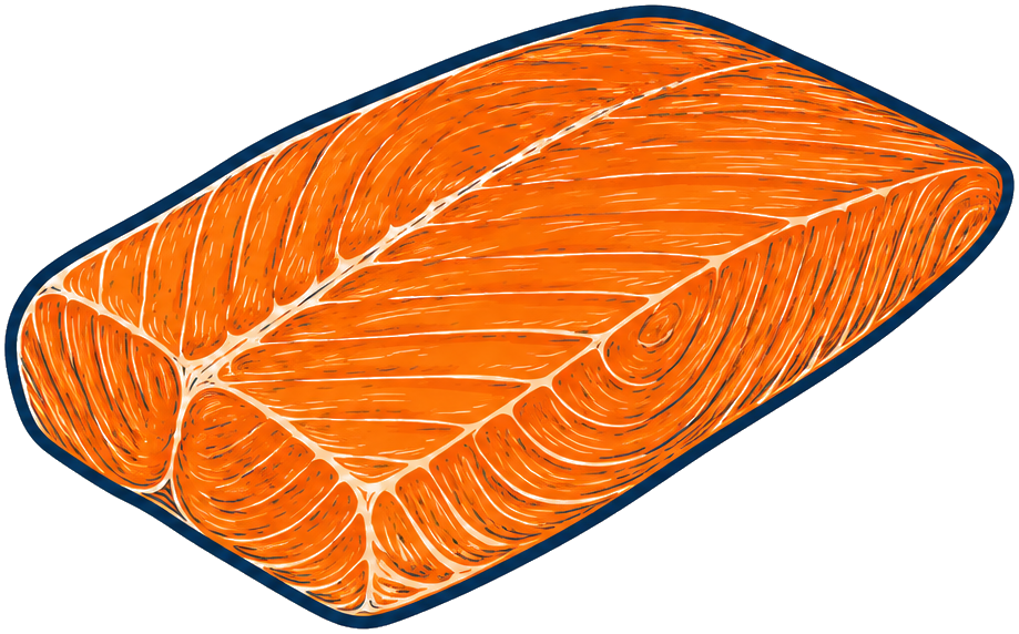 Tekening van een half mootje gerookte zalm